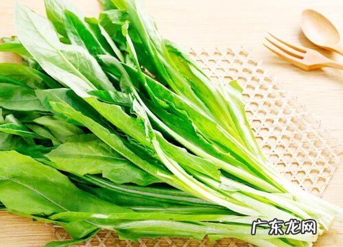 油麦菜又叫什么菜