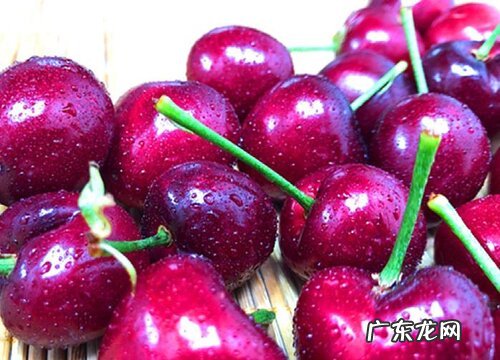 南充产什么水果