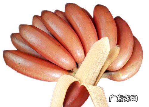 漳州产什么水果