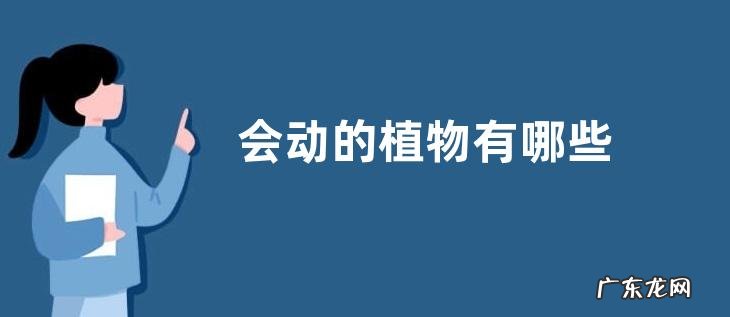 会动的植物有哪些