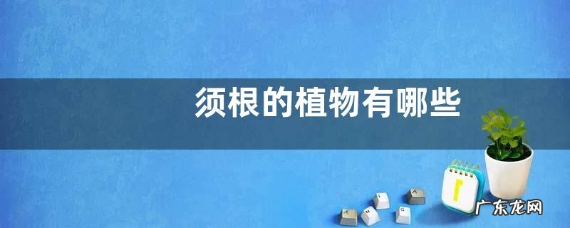须根的植物有哪些