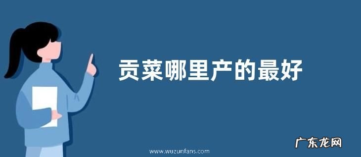 贡菜哪里产的最好
