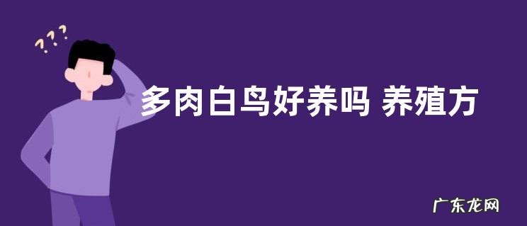 多肉白鸟好养吗 养殖方法和养护要点
