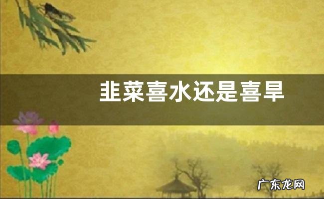 韭菜喜水还是喜旱