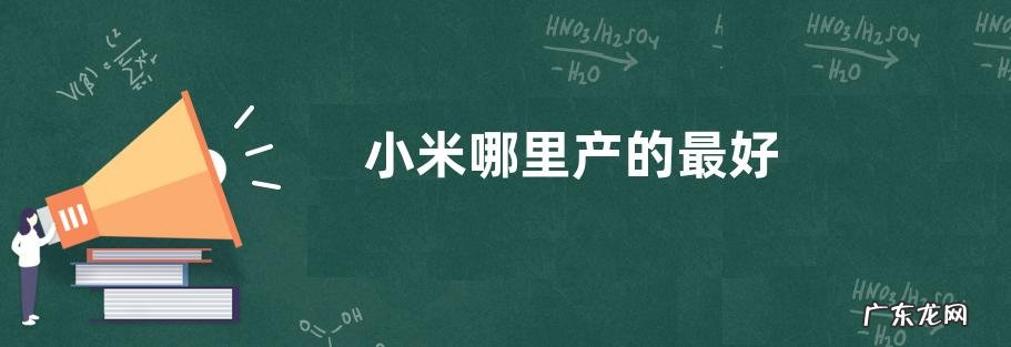 小米哪里产的最好