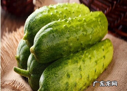 黄瓜哪里产的最好