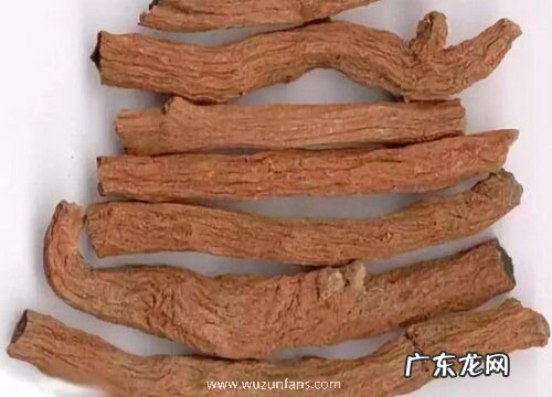 丹参哪里产的最好