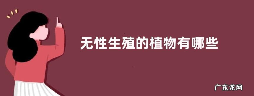 无性生殖的植物有哪些