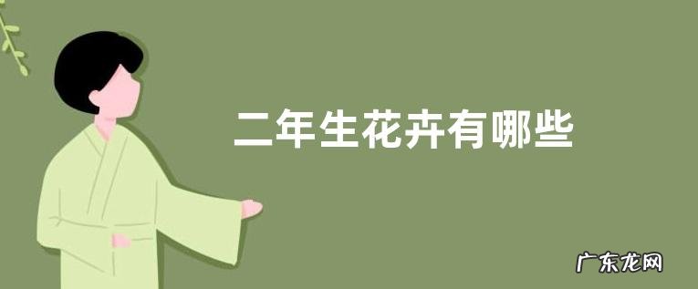 二年生花卉有哪些