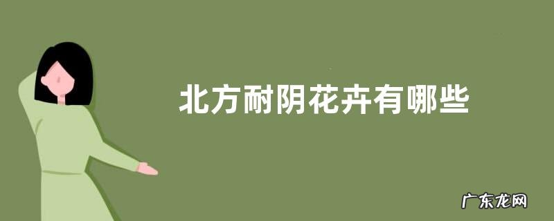 北方耐阴花卉有哪些