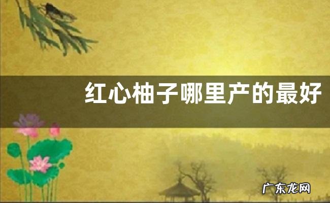 红心柚子哪里产的最好