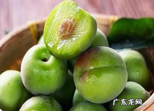 青梅采摘时间和收获季节