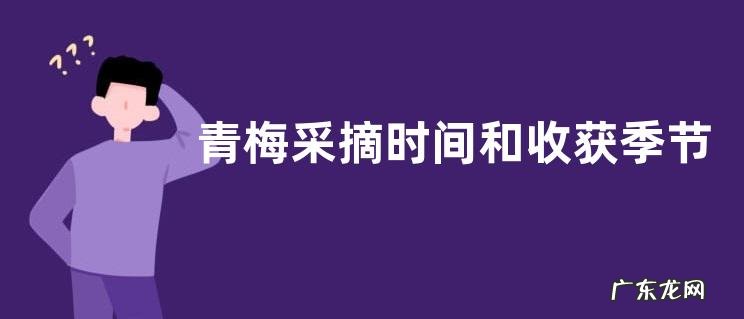 青梅采摘时间和收获季节