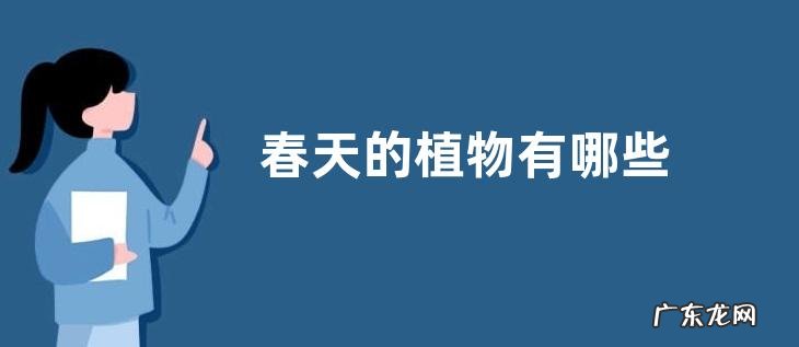春天的植物有哪些
