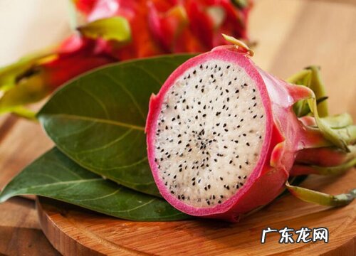 火龙果又叫什么名字