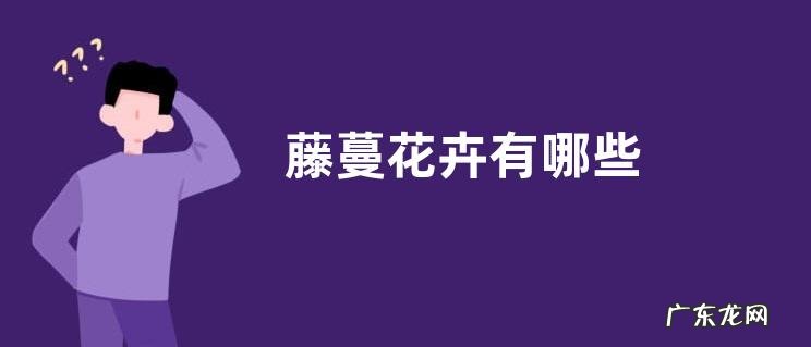 藤蔓花卉有哪些