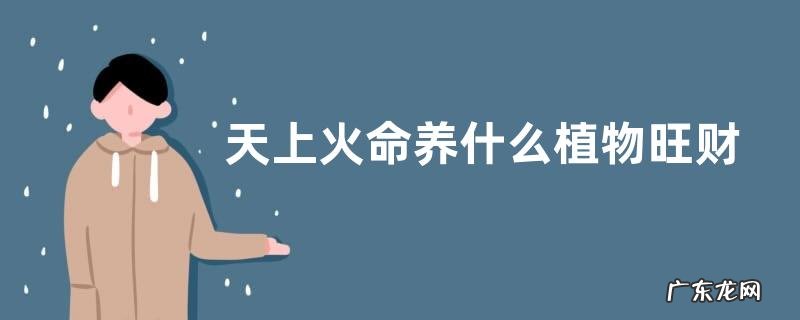 天上火命养什么植物旺财