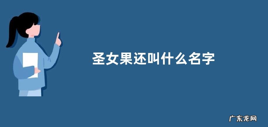 圣女果还叫什么名字