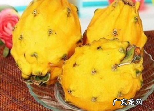 燕窝果又叫什么名字