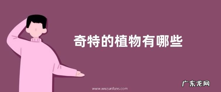 奇特的植物有哪些