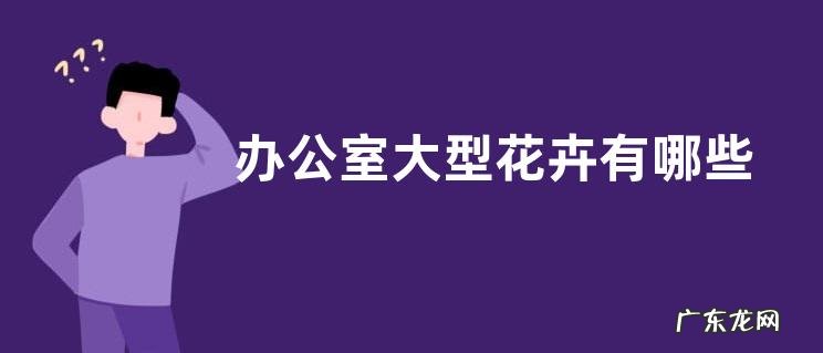 办公室大型花卉有哪些