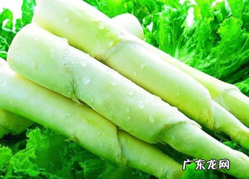 茭菜又叫什么菜