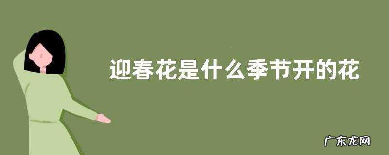 迎春花是什么季节开的花