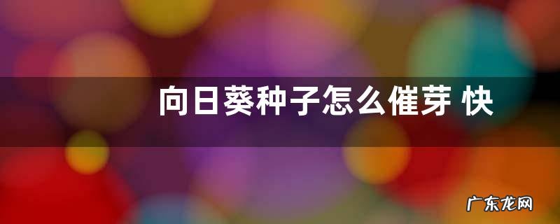 向日葵种子怎么催芽 快速催芽方法
