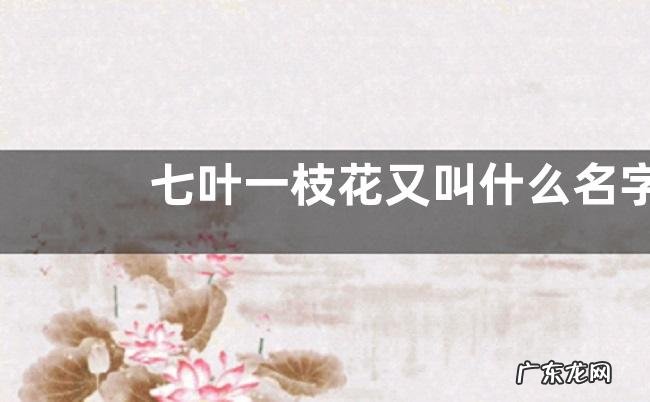 七叶一枝花又叫什么名字