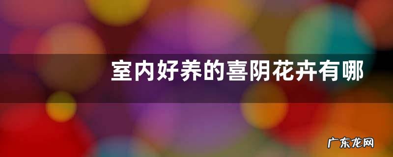室内好养的喜阴花卉有哪些