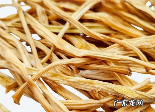 长年生花卉有哪些