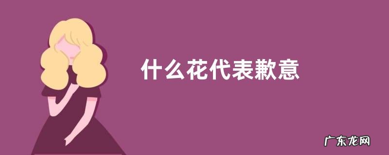 什么花代表歉意
