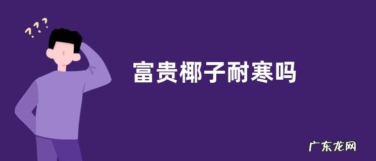 富贵椰子耐寒吗