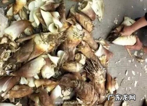 毛笋怎么剥 剥皮方法与技巧