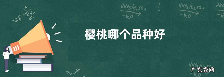 樱桃哪个品种好