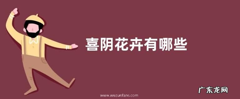 喜阴花卉有哪些