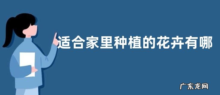 适合家里种植的花卉有哪些