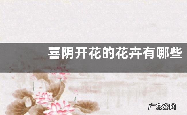 喜阴开花的花卉有哪些