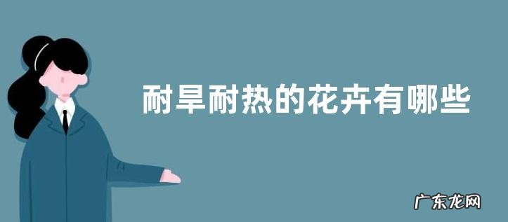 耐旱耐热的花卉有哪些