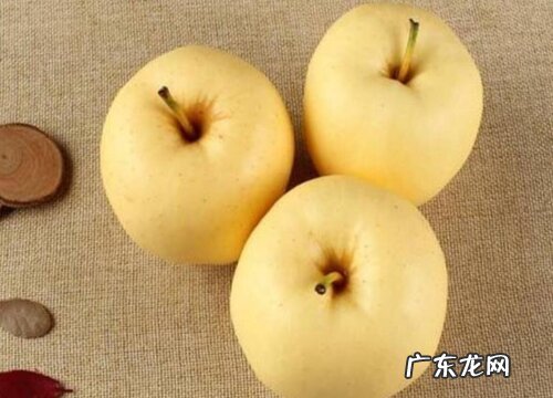 苹果哪个品种好