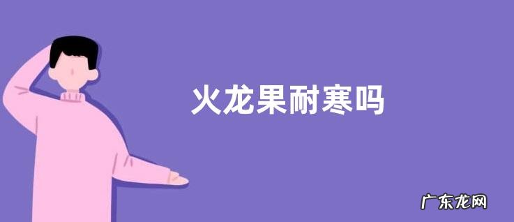 火龙果耐寒吗