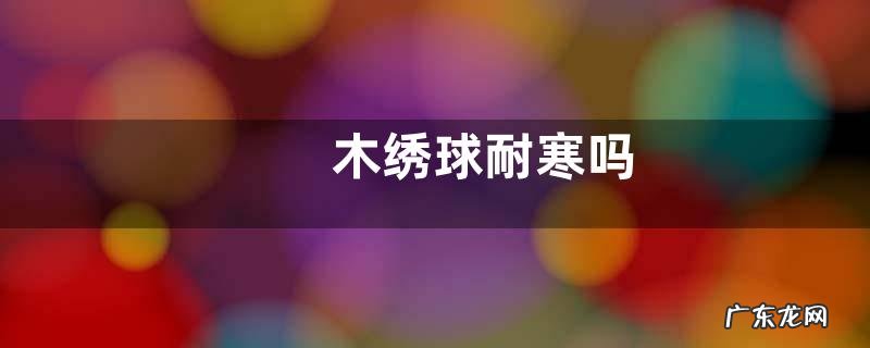 木绣球耐寒吗