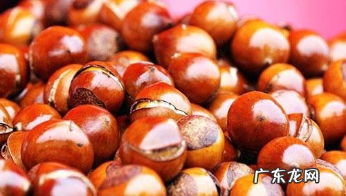 栗子是发物吗 是不是属于发物食物