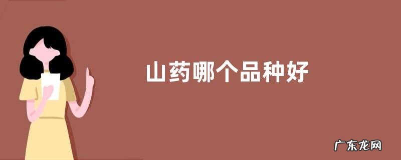 山药哪个品种好