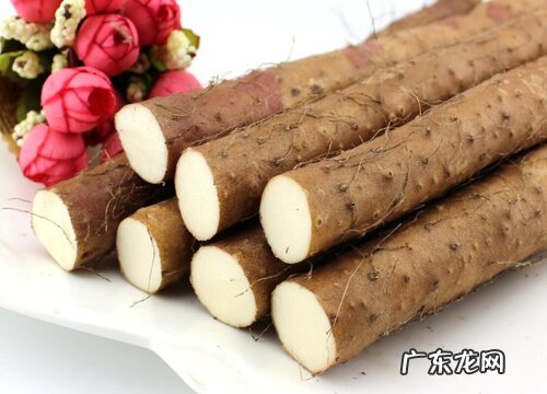 山药哪个品种好