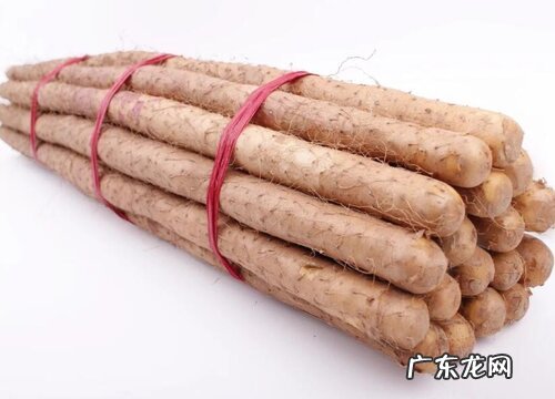 山药哪个品种好