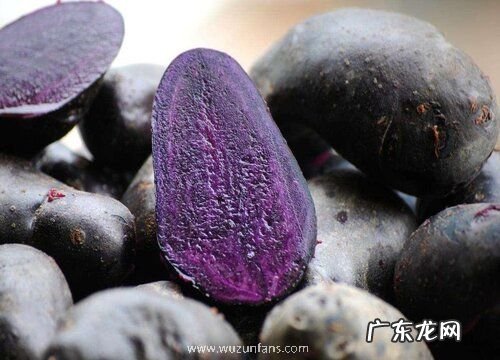 土豆哪个品种好