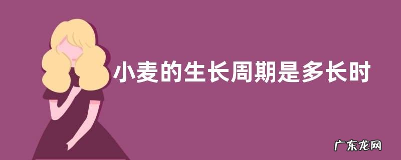 小麦的生长周期是多长时间 生长速度快吗