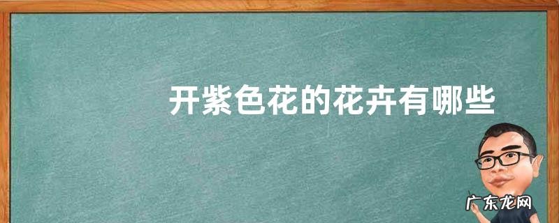 开紫色花的花卉有哪些