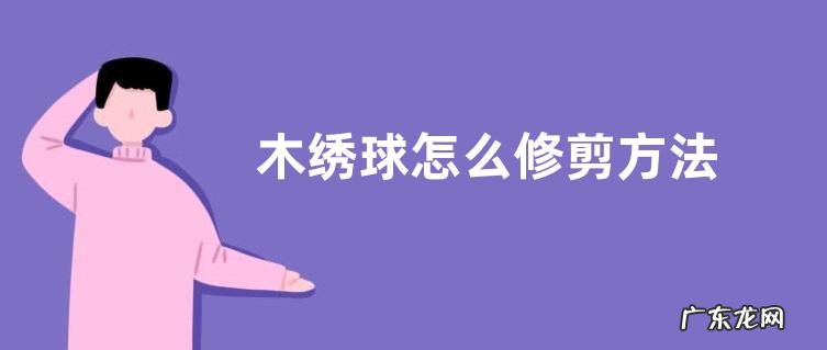 木绣球怎么修剪方法